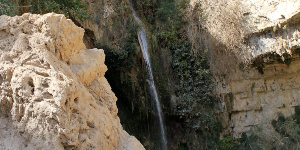 Team EvangelischTheologische Fakultät LMU München