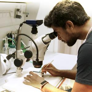 Researcher at a microscope
