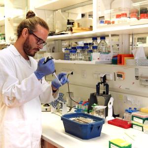 Researcher pipetting in the lab