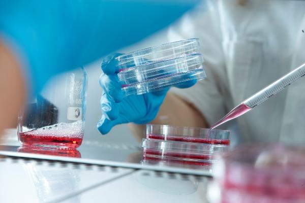 Close-up: Pipetting of colored cell culture medium.