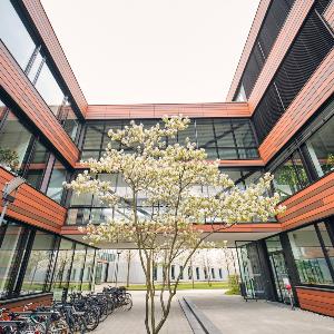 Außenaufnahme BMC mit blühendem Baum