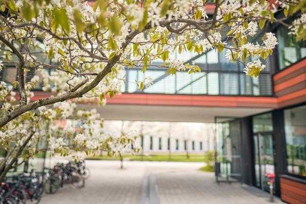 Exterior view BMC Big Lecture Hall with flowering trees in the front