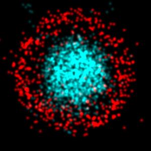Super-resolution microscopy image of an extracellular vesicle