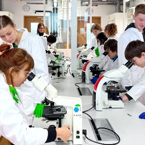 Schülerinnen und Schüler beim Experimentieren