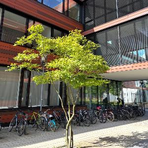 Bikes at the BMC