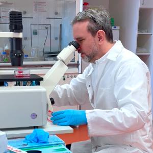 Prof Stefan Stricker