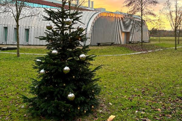 BMC Nikolausmarkt im Dezember 2024