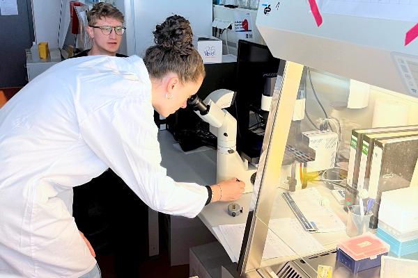 Insights into the BMC laboratories.