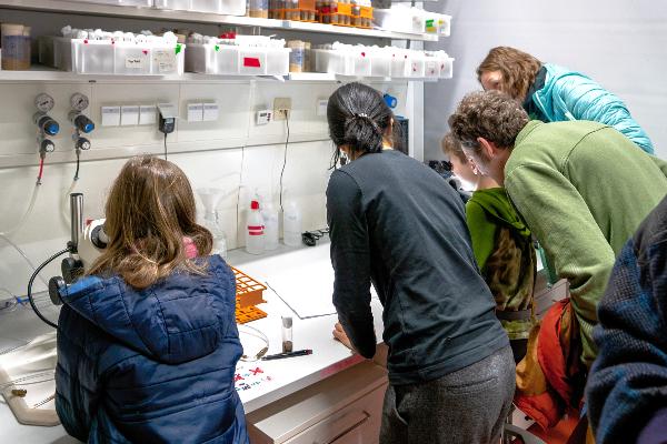 Visitors in the lab