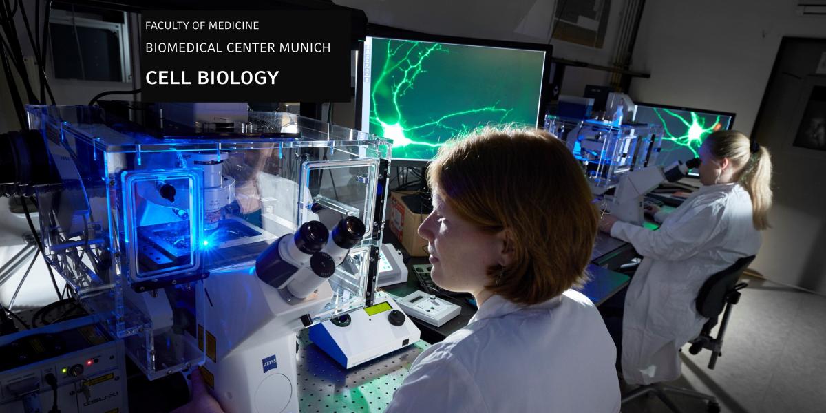 Cell Biology - Biomedical Center - LMU München