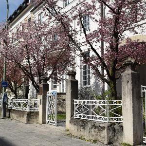 Insitute EGT exterior view