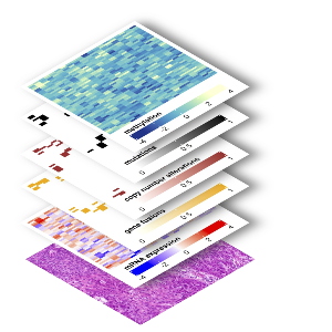 Data layers in clinical bioinformatics