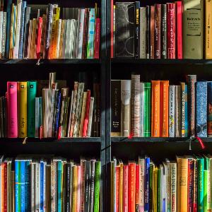 Bücherregal Bücherregal