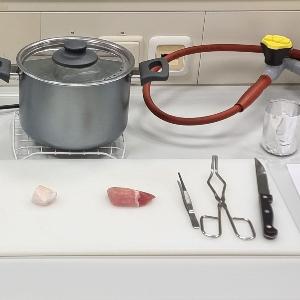 Arbeitsplatz für den Kurs Zusätzliche Untersuchungen (Kochplatte, Fleischstücke, Arbeisblatt)