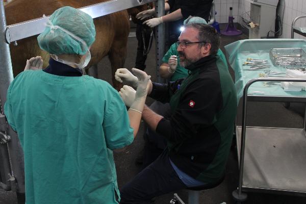 Dr. Assmann - Surgeon