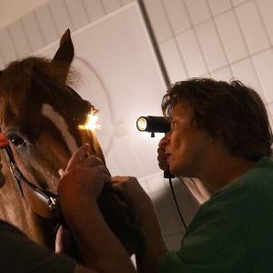 eye examination