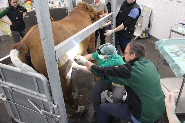 Soft tissue surgery