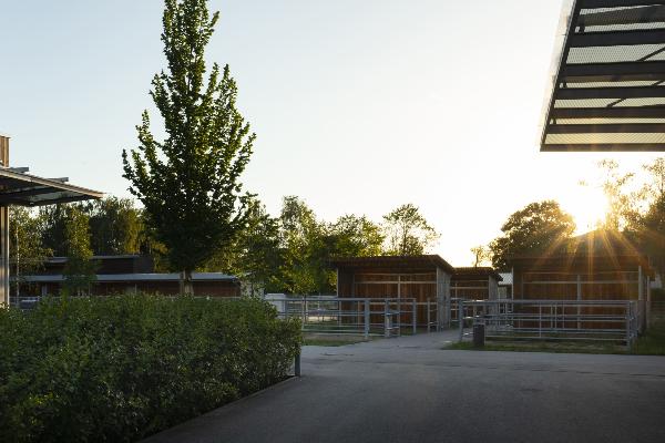 outdoor area with paddocks