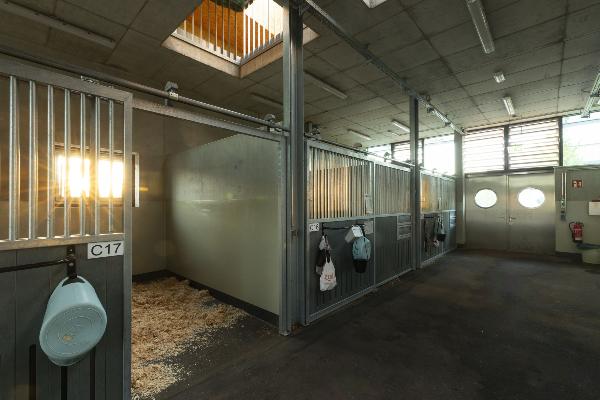 horse stalls