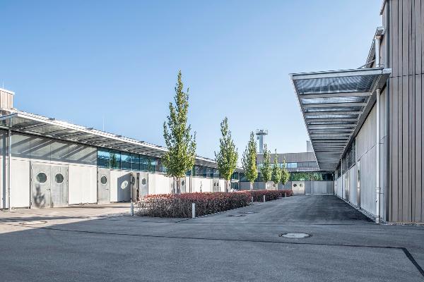 Outdoor area