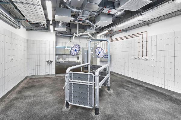 Examination room