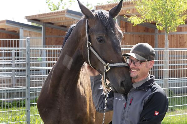 Pferd mit Personal