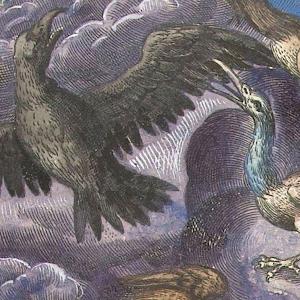 Adriaen Collaer: Lucht/Luft/Air, Rijksmuseum Amsterdam