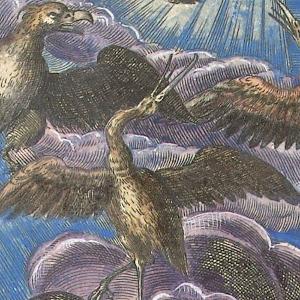 Adriaen Collaer: Lucht/Luft/Air, Rijksmuseum Amsterdam