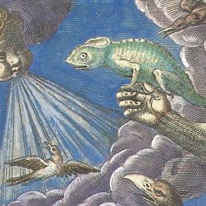 Adriaen Collaer: Lucht/Luft/Air, Rijksmuseum Amsterdam