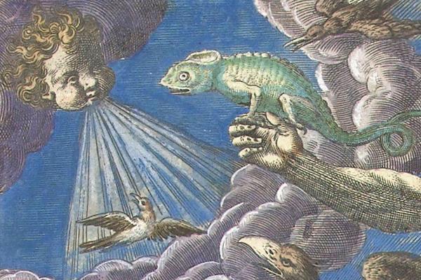 Adriaen Collaer: Lucht/Luft/Air, Rijksmuseum Amsterdam