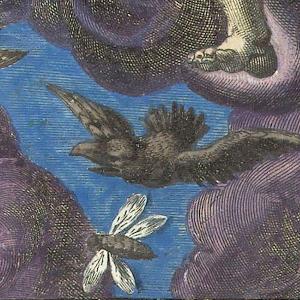 Adriaen Collaer: Lucht/Luft/Air, Rijksmuseum Amsterdam