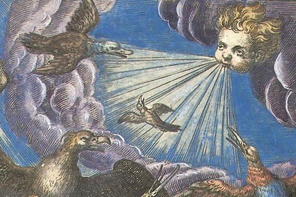 Adriaen Collaer: Lucht/Luft/Air, Rijksmuseum Amsterdam