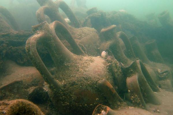 Roman Amphoras in an old wreck