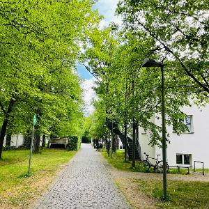 Eingang Oettingenstraße