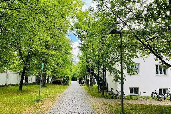 Eingang Oettingenstraße