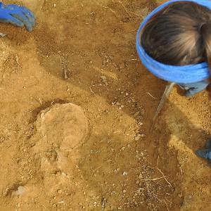 Woman carefully excavates a grave.