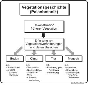 Text-based graphic that explains what vegetation history is.