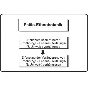 Textbased Graphic about Palaeo-Ethnobotanics