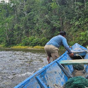 Boot auf Fluss in Amazonien