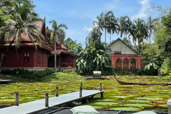 See bedeckt mit Lotusblättern in Thailand