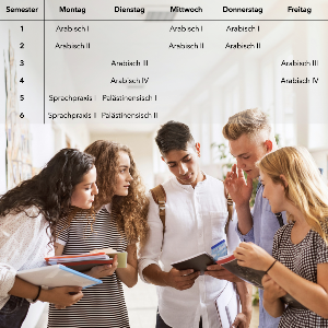 Studienaufbau Arabisch