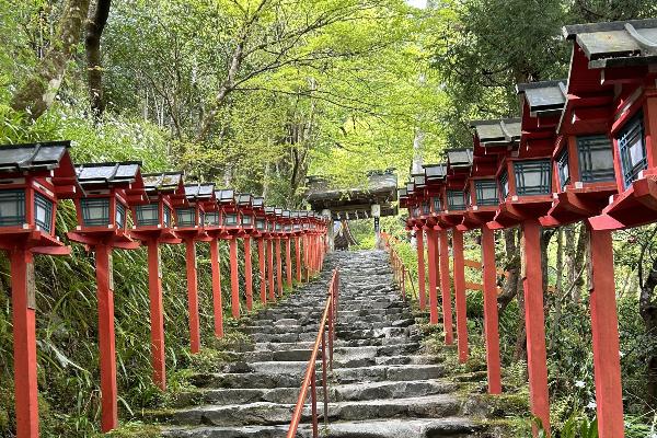 Laternen-Arrangement an einer Landschaftstreppe in Japan
