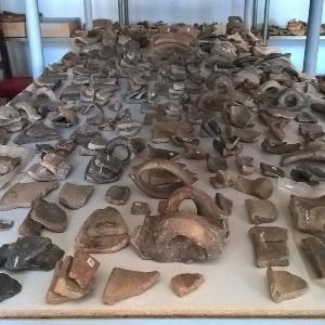 A Table filled with hundreds of pottery sherds.