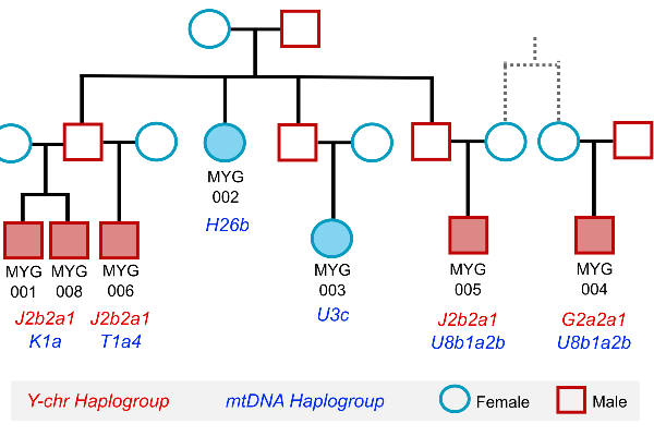 Reconstruction of the family tree for six infants from a burial at Mygdalia.