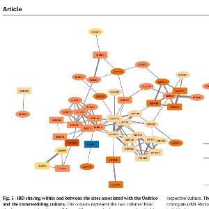 screenshot of one of the Diagrams of the Article
