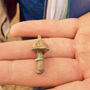 Bronze Pin