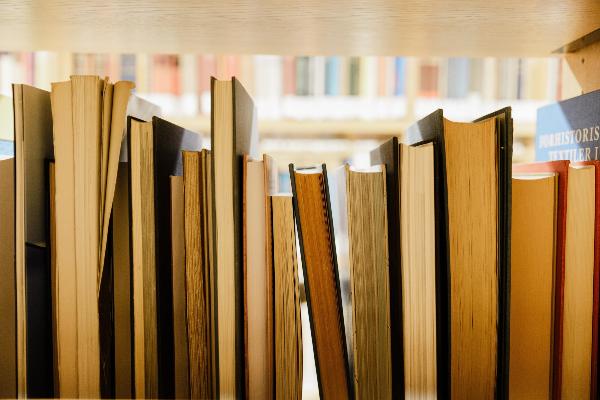 Bücher im Regal | © David Klein Bücher im Regal
