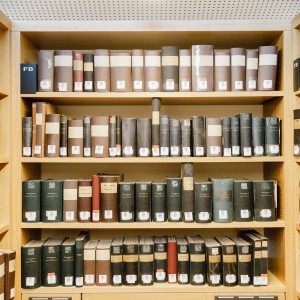Bücher im Regal