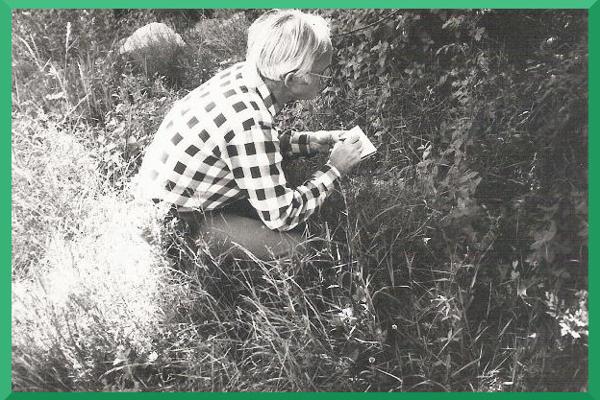 Foto Josef Guggenmos