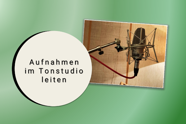 Aufnahmen im Tonstudio leiten - Bild eines Mikrofons